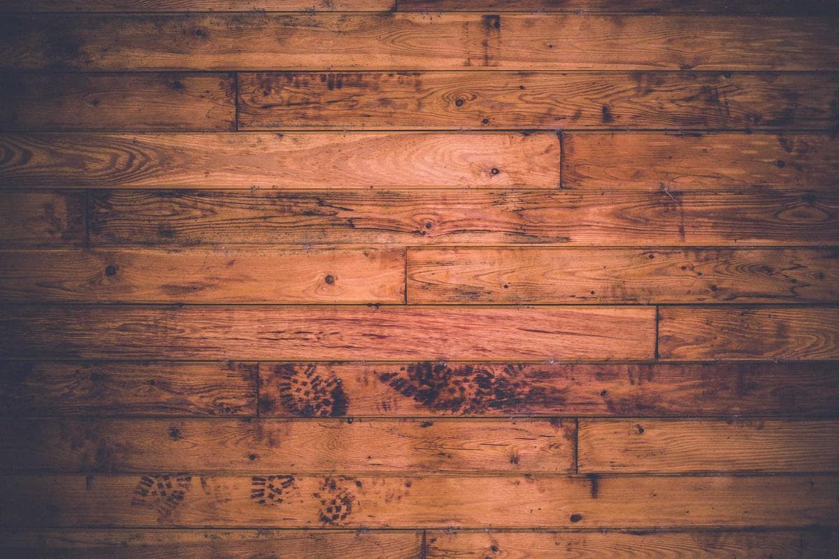 Proteína y síntesis muscular: cuánta necesitas realmente